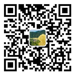 乐发ll彩票下载